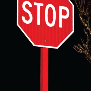 Vis-Z-shield stop sign