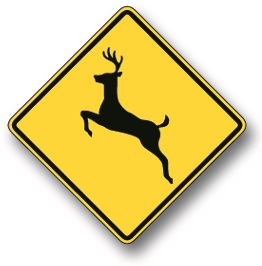 Deer warning sign
